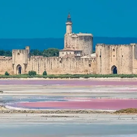 En Petite Camargue Apartment *